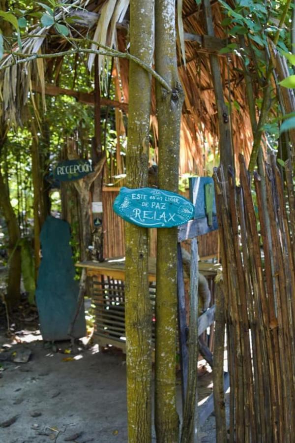 La Aldea Hostel, Camping Y Hamacas Palomino Εξωτερικό φωτογραφία