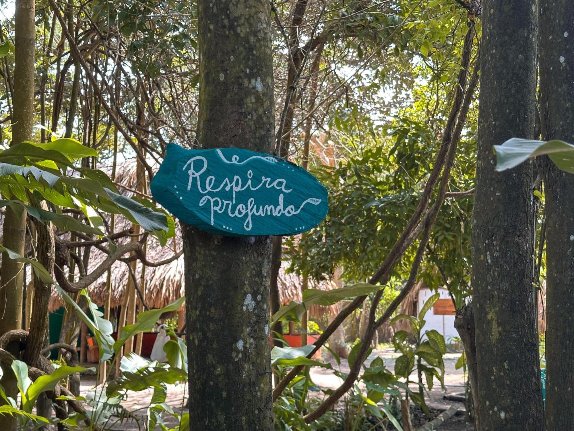 La Aldea Hostel, Camping Y Hamacas Palomino Εξωτερικό φωτογραφία